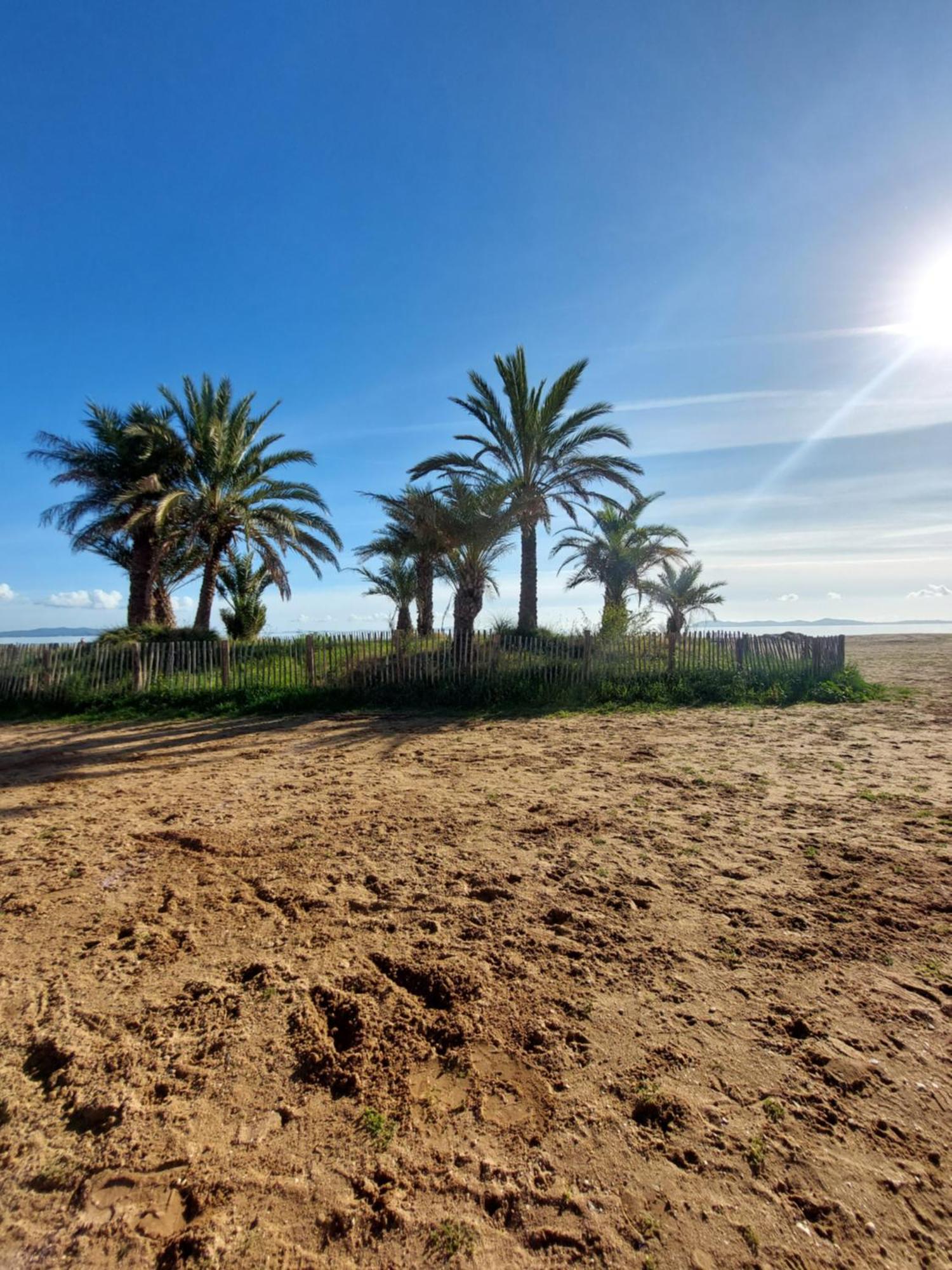 Le De L'ayguade - A 100 M Apartment Hyeres